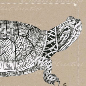 Puede incluir: Ilustración en blanco y negro de una tortuga con un caparazón de patrones detallados. La tortuga está mirando hacia la derecha y tiene una cola larga.