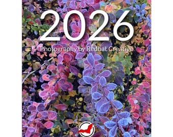 Redbat creatieve kalender 2026: 8,5 x 11 inch