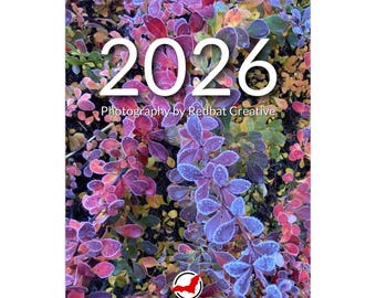 Redbat creatieve kalender 2026: 11 x 16,5 inch