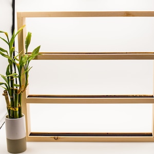 May include: A wooden shelf unit with three shelves. The shelf unit is made of natural wood and has a light brown finish. A potted plant is in front of the shelf unit.