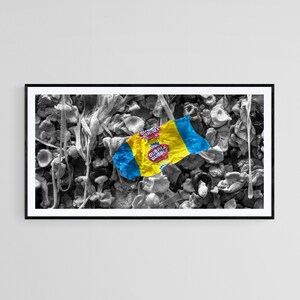 Washington Photography Art - Seattle - Gum Wall - "Gummy Gallery"