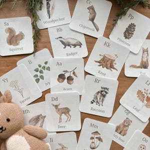 flashcards de bosques para crianças pequenas | atividade de natureza para educação domiciliar pré-escolar | cartões de aprendizagem montessori | cartões para impressão de animais da floresta