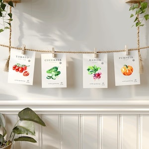 May include: Four seed packets for tomato, cucumber, radish, and pumpkin are clipped to a rope. Each packet features a watercolor illustration of the vegetable and the text "artful gardening" and "25 seeds". The packets are suspended against a white wall.