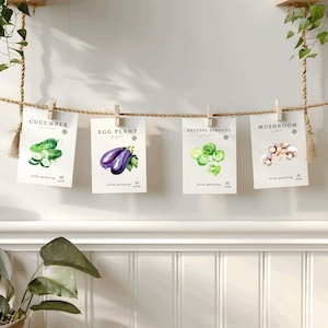 May include: Four seed packets for cucumber, eggplant, brussel sprouts, and mushroom, hanging from a rope. Each packet features a watercolor illustration of the vegetable and the text "artful gardening" and "25 seeds".