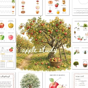 Könnte beinhalten: Ein pädagogisches Apfel-Lernset mit einer zentralen Aquarellillustration eines Apfelgartens mit Leiter und Korb, umgeben von verschiedenen Aktivitätskarten zu Apfelsorten, Lebenszyklen, Anatomie und Schreibübungsblättern.