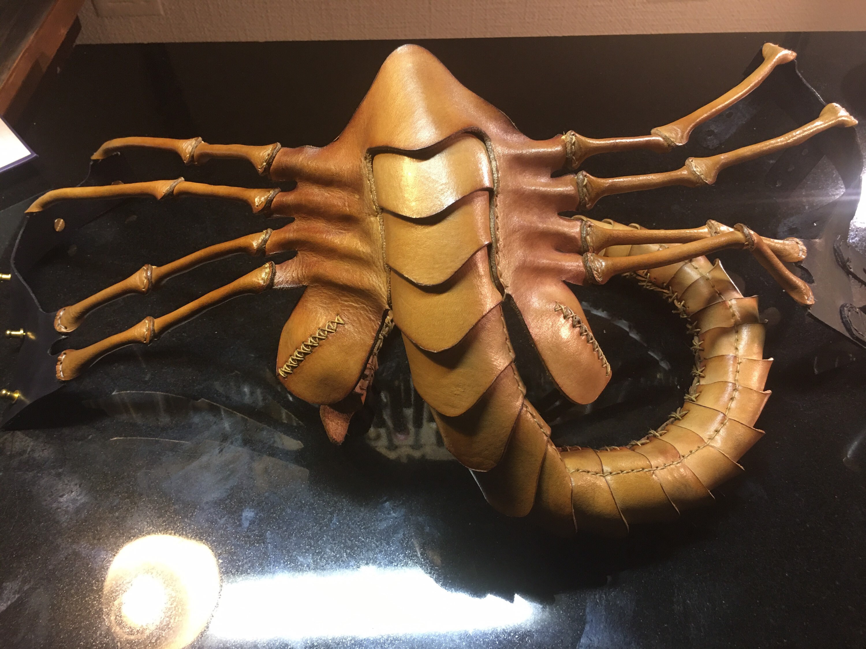 Leather Face Hugger Mask/ Face Hugger Mask/ Leather Mask Etsy