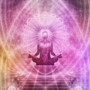 The Life You Want Audio Meditation