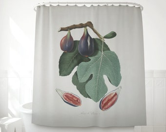 Shower Curtain of a Fig Watercolor, Vintage Fruit study made by Gallesio Giorgio, Bathroom decor. BOT006