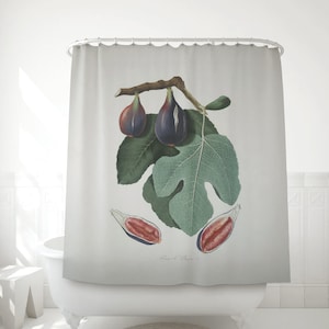 Shower Curtain of a Fig Watercolor, Vintage Fruit study made by Gallesio Giorgio, Bathroom decor. BOT006 image 1