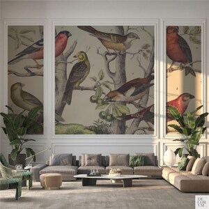 Vintage Ornithology Bird Mural Wallpaper Antique Songbird Study Bedroom Library Decor. VIN009