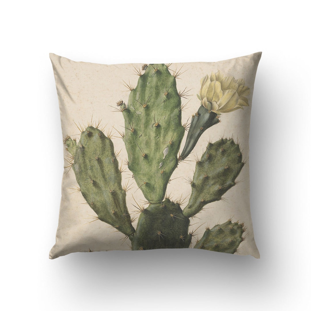 Pear Cactus in Bloom Vintage Illustration Printed on a Pillow Etsy Hong  Kong