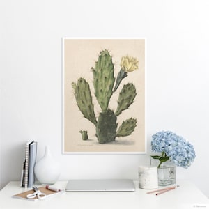 Arte botanica di cactus, illustrazione murale vintage, arte del deserto, stampa di fiori di cactus antichi, arredamento boho. BOT002