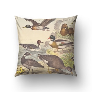 Vintage Duck Illustration Study printed on throw pillow cover. Birds pillow, Duck cushion.  VIN003
