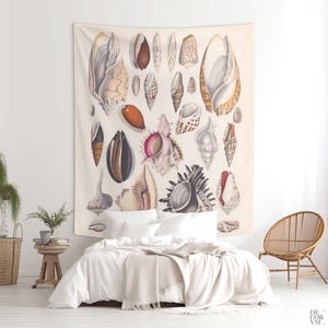 Sea Shell Art Print Tapestry, Vintage Illustration for Wall Decor, Marine and Beach Decor. VIN107