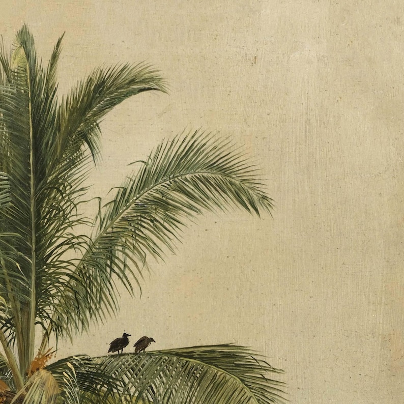 Puede incluir: Una representaci&oacute;n art&iacute;stica de una palmera con exuberantes frondas verdes. Dos p&aacute;jaros oscuros se posan sobre las hojas de la palmera, sobre un fondo texturizado blanquecino. La imagen evoca un tema tropical o costero.