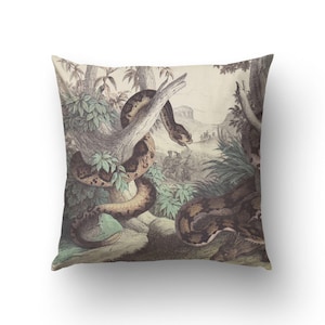 Vintage Reptile Pillow Cover, Tropical Snake Artwork, Serpent Print Cushion, Lithograph art, Natural History Decor, Man Cave Accent. VIN005