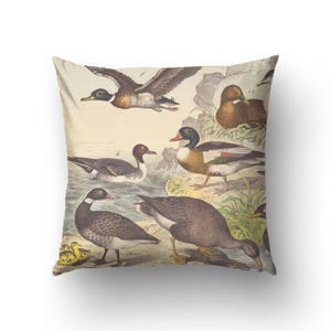 Vintage Duck Illustration Study printed on throw pillow cover. Birds pillow, Duck cushion.  VIN003