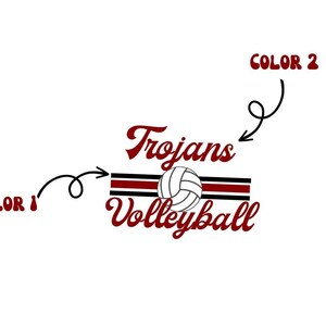 a volleyball logo with the colors of the volleyball team