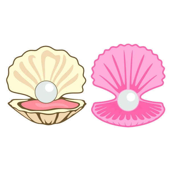 Shell Clam Pearl Cuttable Design SVG PNG DXF & eps Designs Cameo File Silhouette
