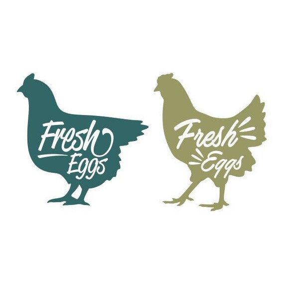 Fresh Eggs Hen Chicken cuttable Design SVG PNG DXF & eps Designs Cameo File Silhouette