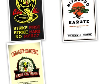 Paquete de 3 unidades de Digital Karate Dojo (Cobra Kai)