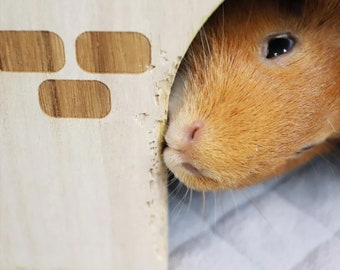 Guineadad Queen's Castle Guinea Pig Toy Safe and Fun Canada