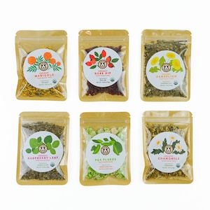 GuineaDad Treat Sampler - Safe and Healthy Guinea Pig Treats 6 Flavors - Infrared Heat Treated and Organic image 1