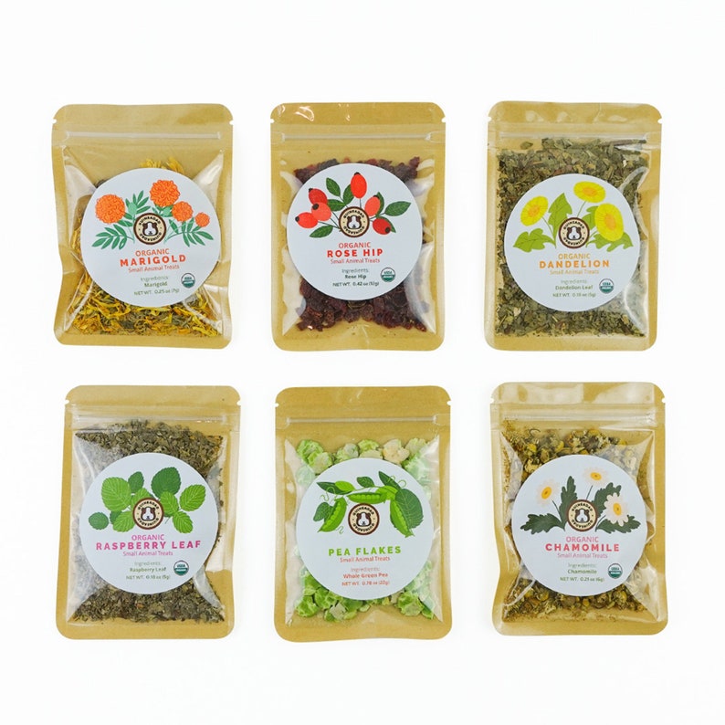 GuineaDad Treat Sampler - Safe and Healthy Guinea Pig Treats 6 Flavors - Infrared Heat Treated and Organic image 1