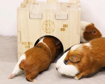 GuineaDad Queen's Castle Guinea Pig Toy Safe and Fun