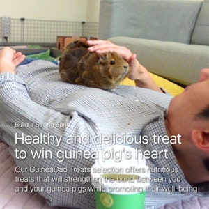 GuineaDad Treat Sampler - Safe and Healthy Guinea Pig Treats 6 Flavors - Infrared Heat Treated and Organic image 4