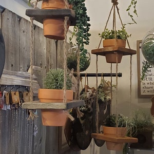Puede incluir: Cuatro macetas colgantes con varias plantas y vegetación. Las macetas son de terracota y están suspendidas del techo con cuerda. Las macetas cuelgan frente a una pared de madera con una escalera y vegetación.
