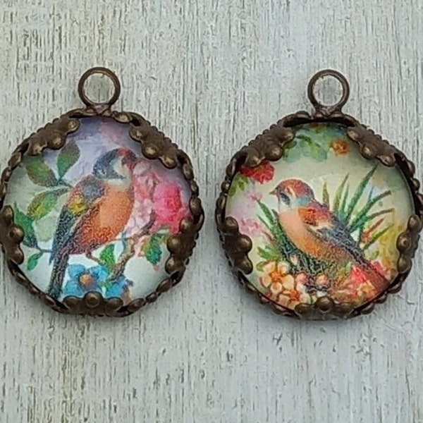 Birds drop Pendentifs oiseaux exquis et raffinés image chromo miniature sous cabochons en verre support laiton pour la fabrication de bijoux