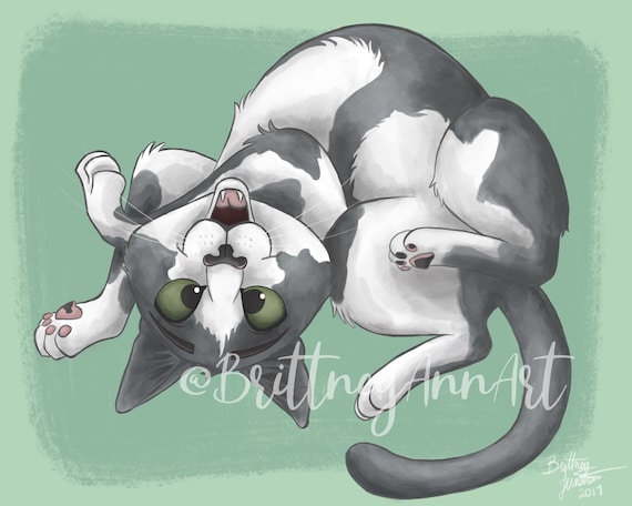 Grey And White Cat Print Cat Gifts Crazy Cat Lady Unique Etsy