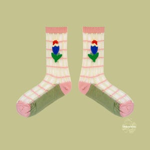 May include: A pair of sheer socks with a floral design. The socks feature a white and pink plaid pattern, with a green heel and toe, and a pink cuff. Each sock has a blue and red flower applique.