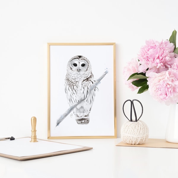 Barred Owl Bird Watercolour Pencil Drawing Illustration Wall Art Print Decor Gift