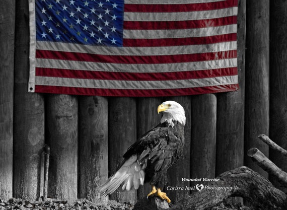 Amazing bald EAGLE Wild Animals Montage Limited Edition