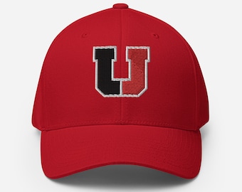 Gorra ajustada Flexfit de los USC Panthers