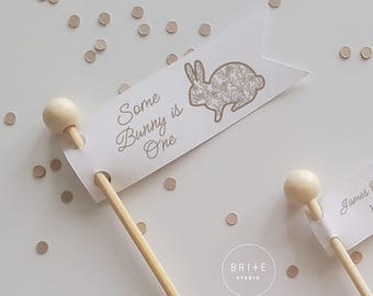 Adornos para cupcakes de primer cumpleaños de conejito: decoración para fiestas de primavera