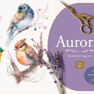 Cute Adorable Set of 59 Watercolor Bird Illustrations, Watercolor Cute Birds, Watercolor Whimsical Birds, Birds Watercolor Collection