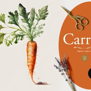 Aquarelle Carottes Clipart - Carotte Graphics - Téléchargement numérique - Alimentation saine - Légumes - Végétarien - Végétalien - Printemps