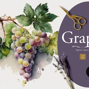 Aquarelle Raisin Clipart, Raisin Clipart, Grape Graphics, Téléchargement numérique, Fruits, Végétarien, Végétalien, Printemps, Raisin Clipart Bundle