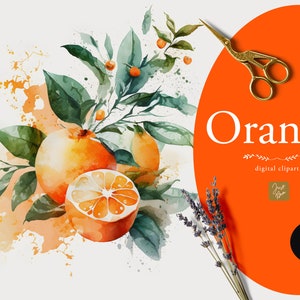 Aquarelle Orange Clipart, Clipart Orange, Graphiques Orange, Téléchargement numérique, Alimentation saine, Fruits, Végétarien, Végétalien, Printemps, Orange Bundle