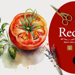 Clipart de tomates aquarelle - graphiques de tomates - téléchargement numérique - alimentation saine - légumes - végétarien - végétalien - printemps