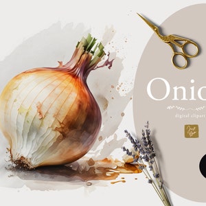 Aquarelle Oignon Clipart - Oignon Graphics - Téléchargement numérique - Alimentation saine - Légumes - Végétarien - Végétalien - Printemps - Oignon Clipart Ensemble