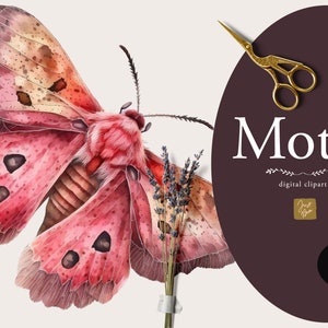 Aquarell Motte Clipart, Motte Clipart, Motte Illustration, Aquarell skurrile Motten, Aquarell skurrile Tiere, Aquarell Motte Clipart