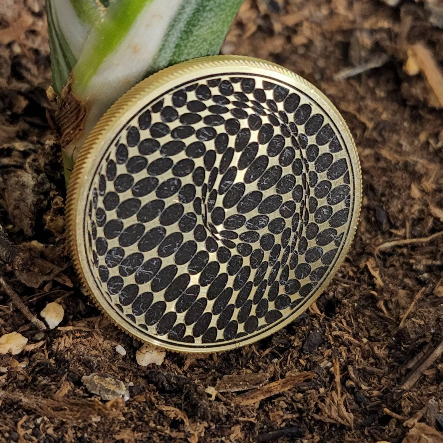 3D Vortex Coin - 3 Sizes! - Etsy