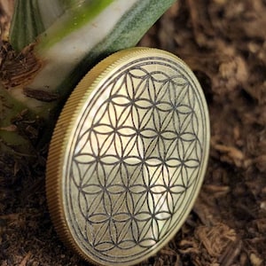 Puede incluir: Un disco de metal dorado con un patrón geométrico negro, que se asemeja a un diseño de flor de la vida, está sobre un lecho de tierra marrón.