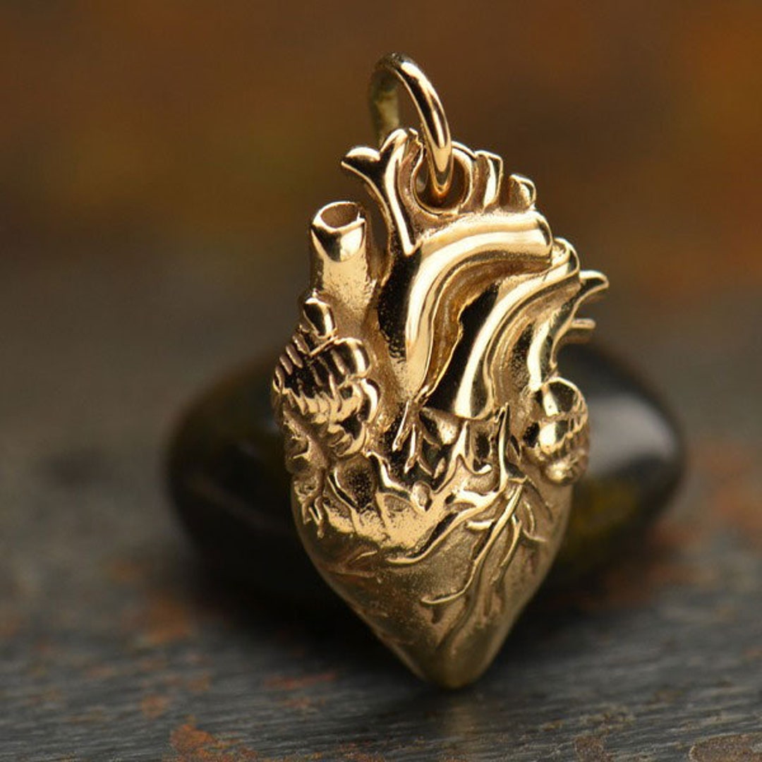 Anatomical Heart Jewelry Charm Organ Charms, Science, Love, Doctor