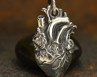 Heart - Sterling Silver Anatomical Heart - Pendant, Organ Charms, Science, Muscle, Love, Doctor, Nurses, Gifts, Anatomy, Medical Student