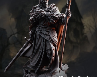 Silvia the Tearless – War Priestess – Dark Pact Warlock /  The Dire End /DM stash / 25mm, 50 mm